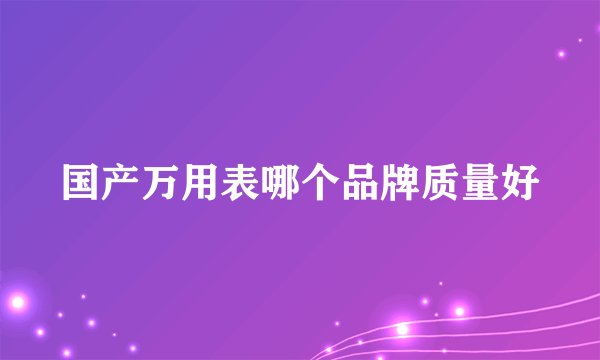 国产万用表哪个品牌质量好