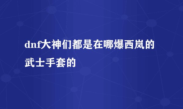 dnf大神们都是在哪爆西岚的武士手套的