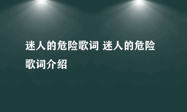 迷人的危险歌词 迷人的危险歌词介绍