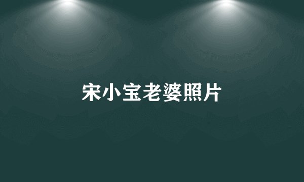 宋小宝老婆照片
