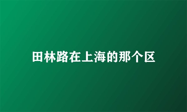 田林路在上海的那个区