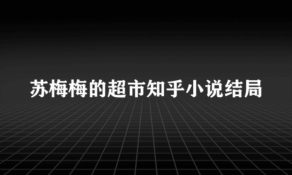 苏梅梅的超市知乎小说结局