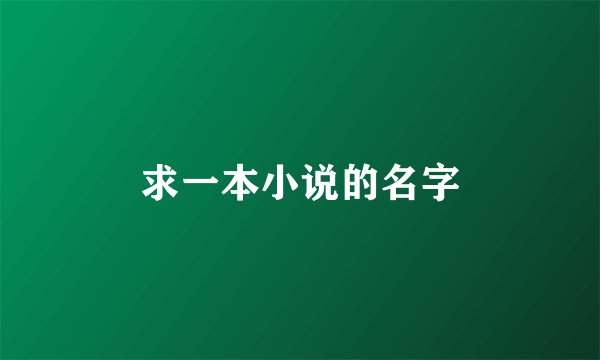 求一本小说的名字