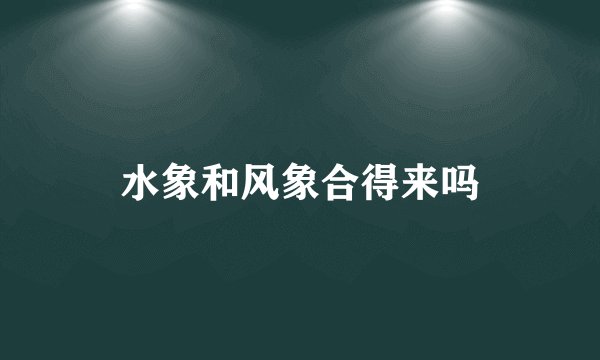 水象和风象合得来吗