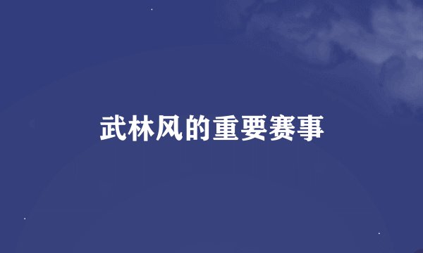 武林风的重要赛事