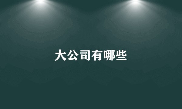 大公司有哪些