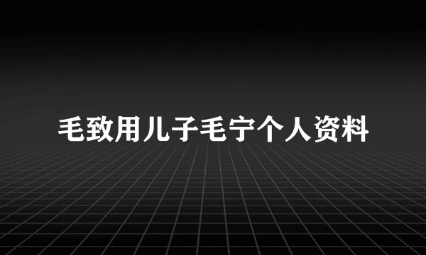 毛致用儿子毛宁个人资料