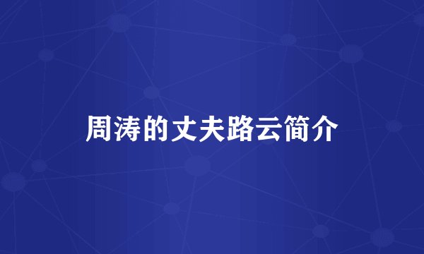 周涛的丈夫路云简介