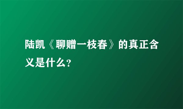 陆凯《聊赠一枝春》的真正含义是什么？