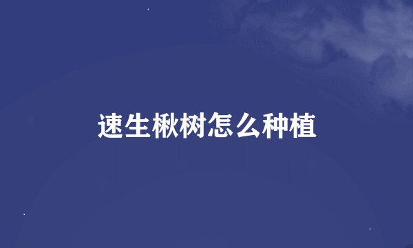 速生楸树怎么种植