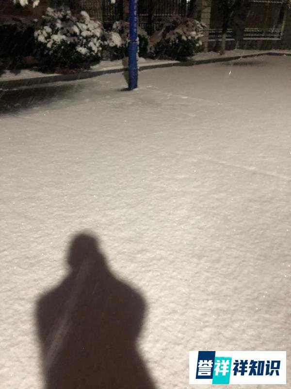 雪影、雪路、雪人