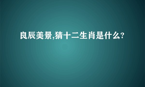 良辰美景,猜十二生肖是什么?