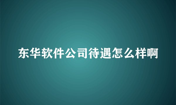 东华软件公司待遇怎么样啊