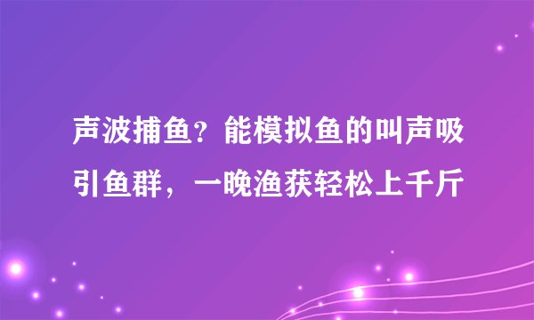 声波捕鱼？能模拟鱼的叫声吸引鱼群，一晚渔获轻松上千斤