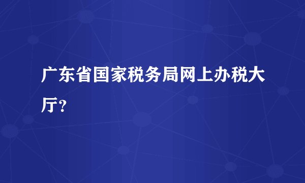 广东省国家税务局网上办税大厅？