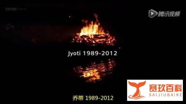 震惊世界的德里黑公交强奸案终审判决,终还“印度的女儿”一个公道