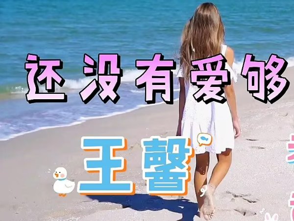 你说大雁南飞后跟我一起走是什么歌