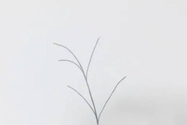 艾草怎么画才好看