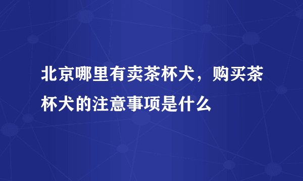 北京哪里有卖茶杯犬,购买茶杯犬的注意事项是什么