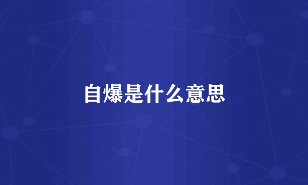 自爆是什么意思