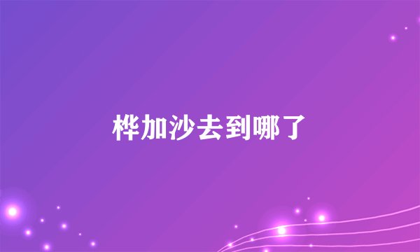 桦加沙去到哪了