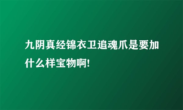 九阴真经锦衣卫追魂爪是要加什么样宝物啊!