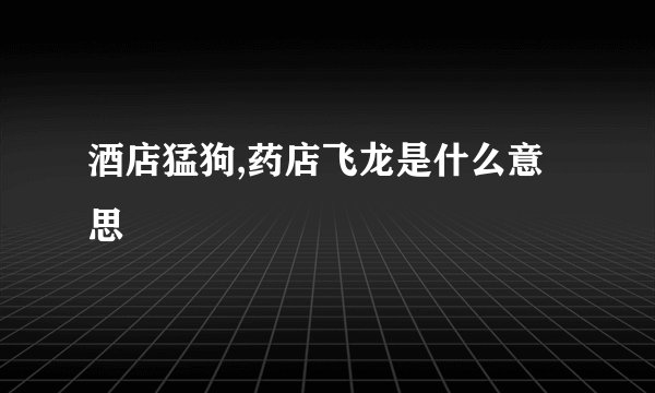 酒店猛狗,药店飞龙是什么意思