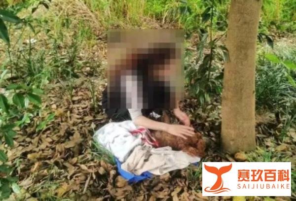 法治日报评毒狗事件:暴力解决不了问题,更倒逼不出养宠文明