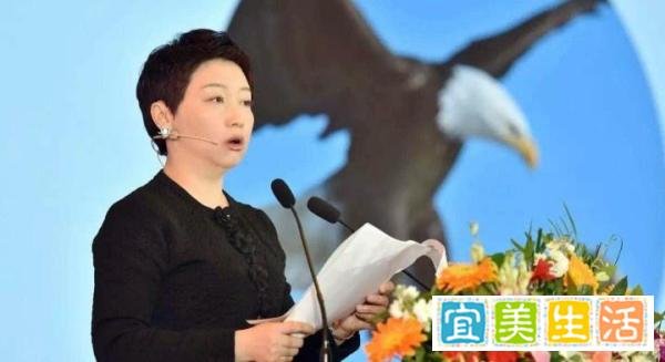 国美黄光裕背后的女性