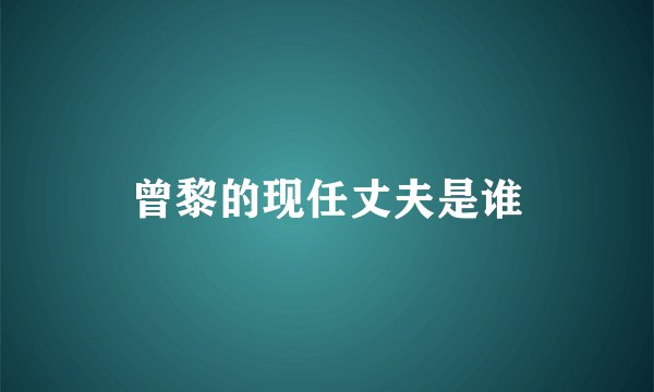 曾黎的现任丈夫是谁
