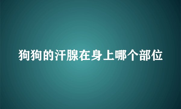 狗狗的汗腺在身上哪个部位