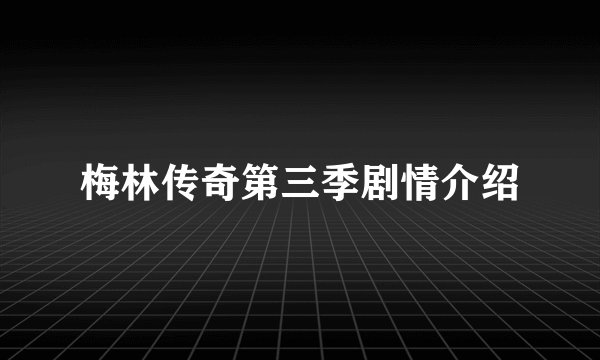 梅林传奇第三季剧情介绍