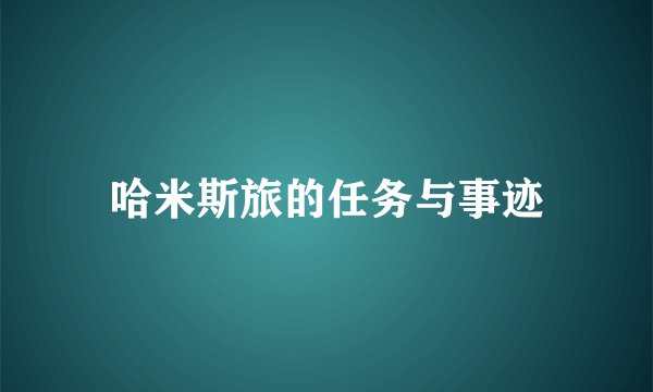 哈米斯旅的任务与事迹