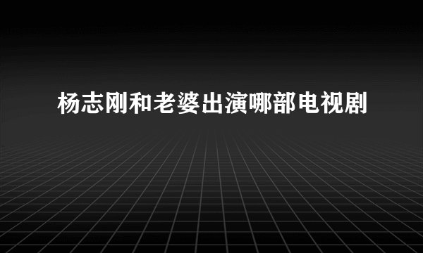 杨志刚和老婆出演哪部电视剧