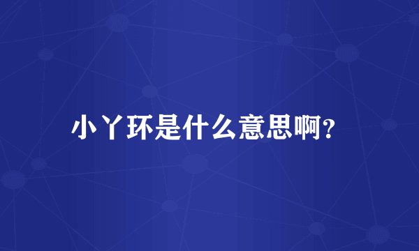 小丫环是什么意思啊？