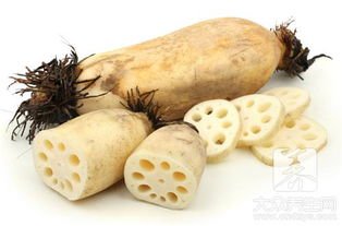 荷花的根、茎、叶、花、果实各是什么样子的？