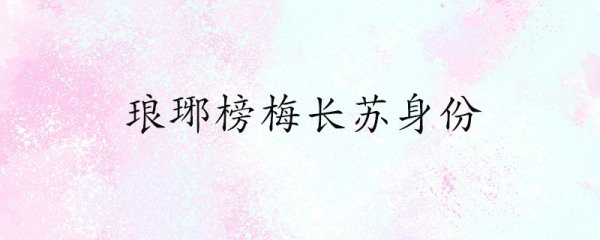 琅琊榜梅长苏身份