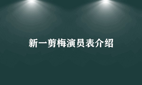 新一剪梅演员表介绍