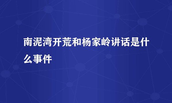 南泥湾开荒和杨家岭讲话是什么事件
