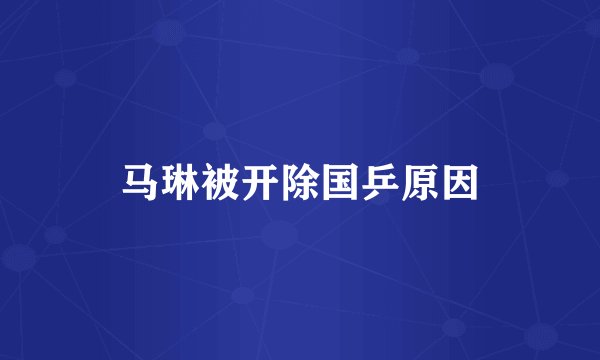 马琳被开除国乒原因
