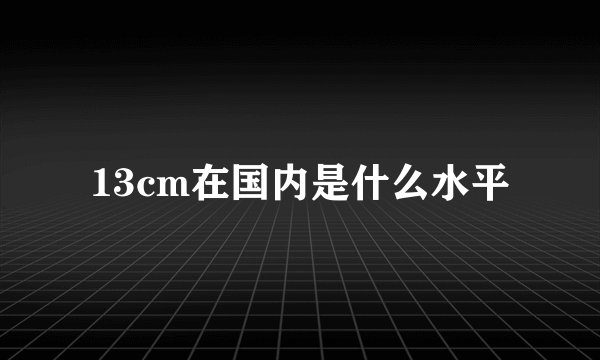 13cm在国内是什么水平