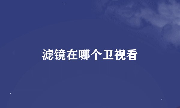 滤镜在哪个卫视看