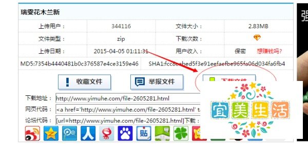 一木禾网盘下载