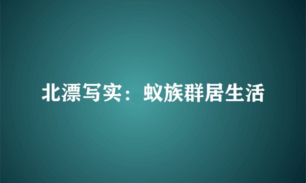 北漂写实：蚁族群居生活