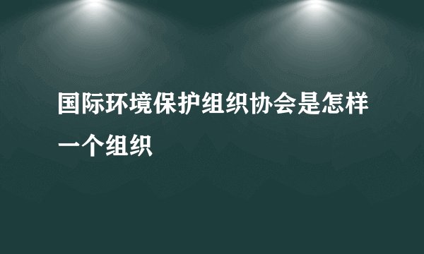 国际环境保护组织协会是怎样一个组织