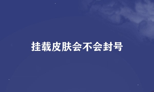 挂载皮肤会不会封号