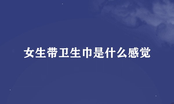 女生带卫生巾是什么感觉