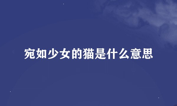 宛如少女的猫是什么意思
