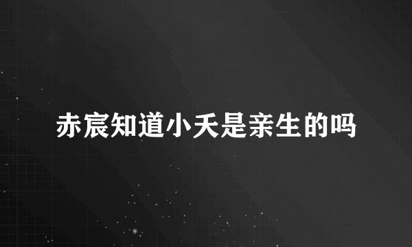 赤宸知道小夭是亲生的吗