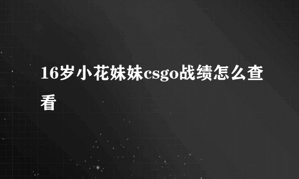 16岁小花妹妹csgo战绩怎么查看